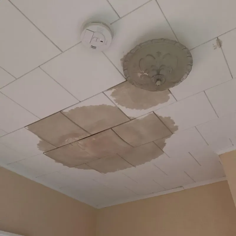Ceiling Water Damage Repair in Hardin County, TN