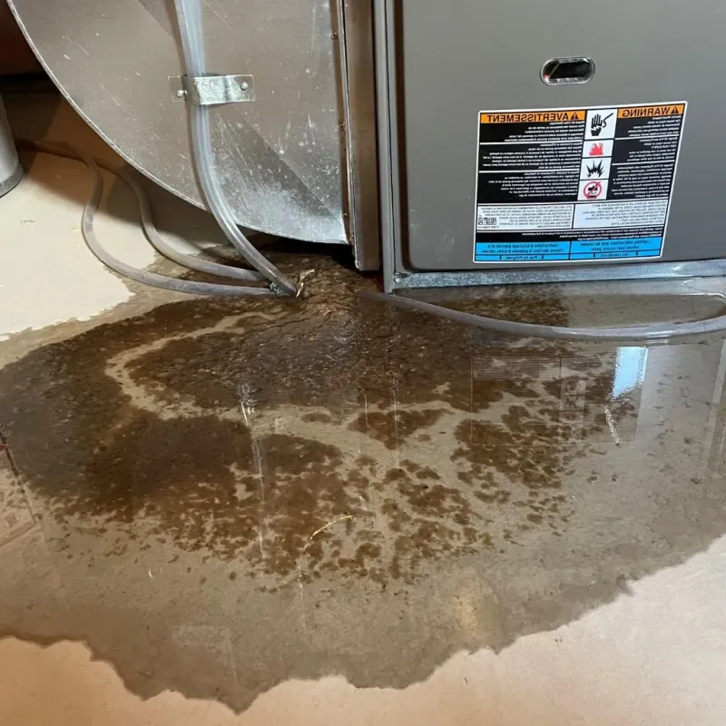 Pipe Burst and Leak Restoration in Hardin County, TN