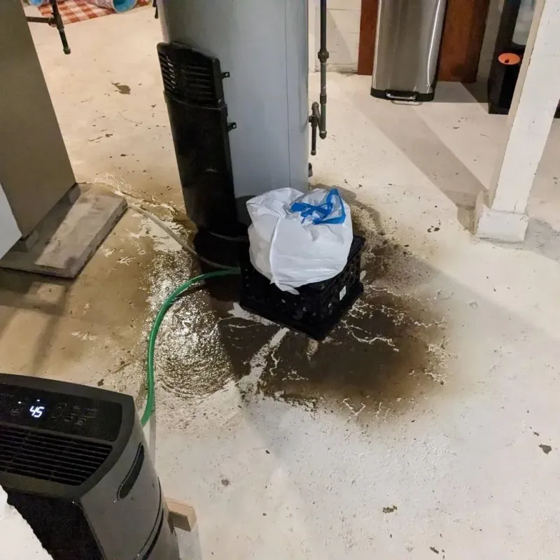 Sewage Backup Cleanup Service in Hardin County, TN